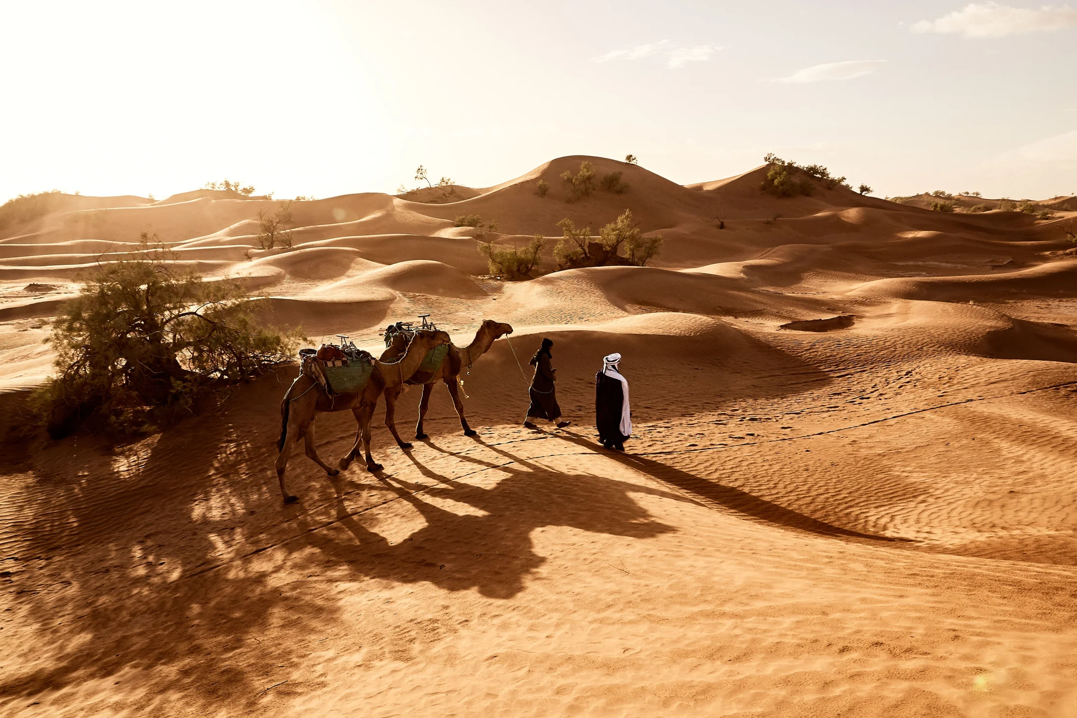 beautiful-shot-people-walking-with-their-camels-desert-erg-lihoudi-morocco.jpg